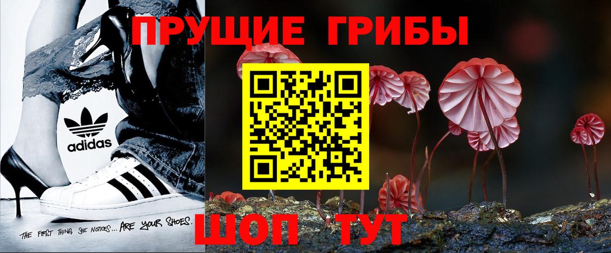 Галлюциногенные грибы Psilocybe  наркошоп  Донецк  Вход с VPN 